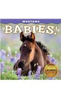 Mustang Babies!