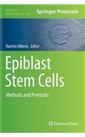 Epiblast Stem Cells