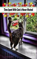 Time Spent With Cats Is Never Wasted