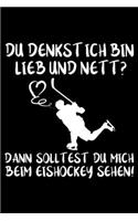 DU DENKST ICH BIN LIEB UND NETT? DANN SOLLTEST DU MICH BEIM EISHOCKEY SEHEN! Notizbuch