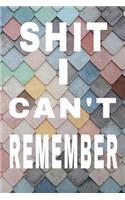 Shit I Can't Remember