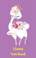llama notebook
