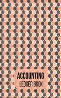 Accounting Ledger book