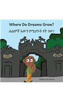 Where Do Dream Grow in English and Amharic