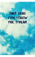 Only Dead Fish Follow the Stream