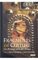Fragments of Culture