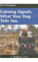 CALMING SIGNALS DVD: What Your Dog Tells You