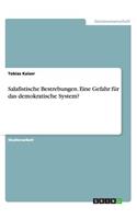 Salafistische Bestrebungen. Eine Gefahr für das demokratische System?