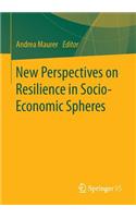 New Perspectives on Resilience in Socio-Economic Spheres