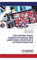 Sostoyanie kory nadpochechnikov pri deystvii alkogolya i antioksidantov