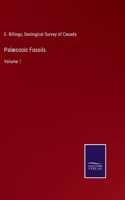 Palæozoic Fossils