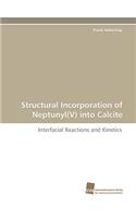 Structural Incorporation of Neptunyl(V) into Calcite