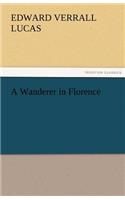 A Wanderer in Florence: (English)