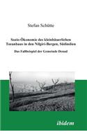 Sozio-Ökonomie des kleinbäuerlichen Teeanbaus in den Nilgiri-Bergen, Südindien: Das Fallbeispiel der Gemeinde Denad