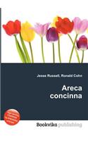 Areca Concinna
