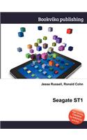 Seagate St1