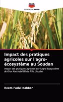 Impact des pratiques agricoles sur l'agro-écosystème au Soudan