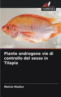 Piante androgene vie di controllo del sesso in Tilapia