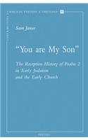 «You are My Son»: The Reception History of Psalm 2 in Early Judaism and the Early Church(51 Contributions to Biblical Exegesis & Theology)