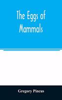 The eggs of mammals