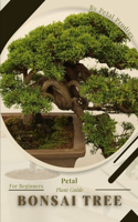 Bonsai Tree