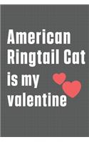 American Ringtail Cat is my valentine: For American Ringtail Cat Fans