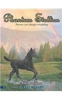 Phantom Stallion #12: Rain Dance: (12 Phantom Stallion (eBook))