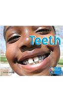PYP L7 Teeth single