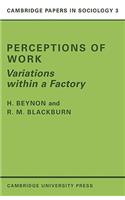 Perceptions of Work