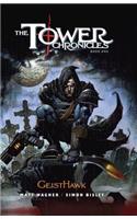 Tower Chronicles Book One: Geisthawk