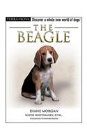 The Beagle