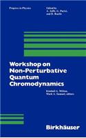 Workshop on Non-Perturbative Quantum Chromodynamics