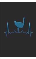 Ostrich Heartbeat