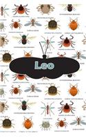 Leo: Bug Insect Handwriting for K-3 Students Practice Paper Book Notebook Journal Book 120 Pages 6x9