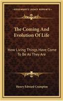 The Coming and Evolution of Life