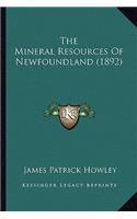Mineral Resources Of Newfoundland (1892)