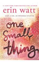 One Small Thing
