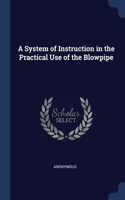 A System of Instruction in the Practical Use of the Blowpipe
