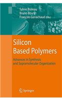 Silicon Based Polymers