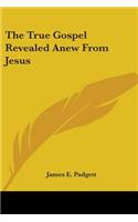 True Gospel Revealed Anew from Jesus