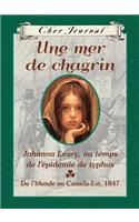 Cher Journal: Une Mer de Chagrin