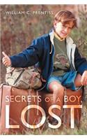 Secrets of a Boy, Lost