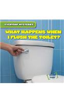 What Happens When I Flush the Toilet?