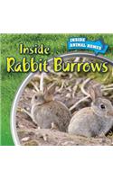 Inside Rabbit Burrows