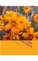 Colors In Nature For Small Children
