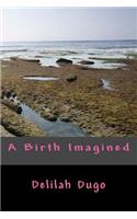 Birth Imagined