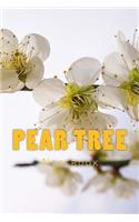 Pear Tree: 150 page lined notebook