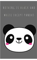 Nothing is Black and White Except Pandas: Teen, Blank, Lined Journal to Write in