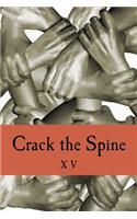 Crack the Spine XV