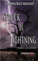 Struck by Lightning